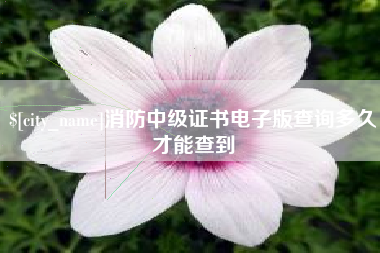 宣城消防中级证书电子版查询多久才能查到