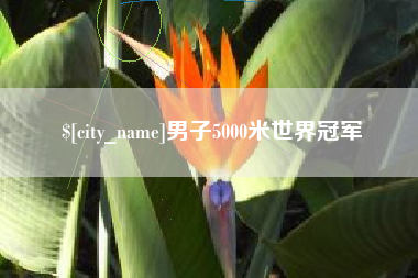 宣城男子5000米世界冠军