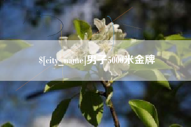 宣城男子5000米金牌