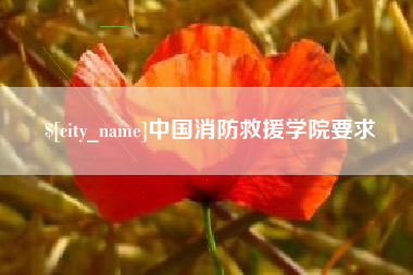 宣城中国消防救援学院要求