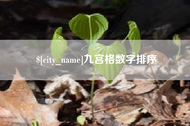 宣城九宫格数字排序