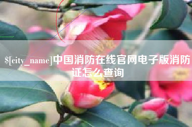 宣城中国消防在线官网电子版消防证怎么查询