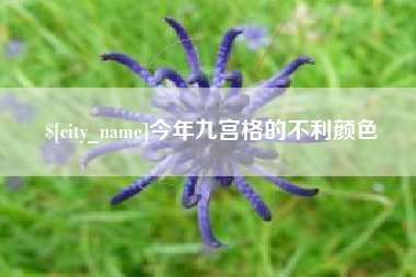 宣城今年九宫格的不利颜色