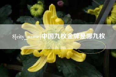 宣城中国九枚金牌是哪九枚