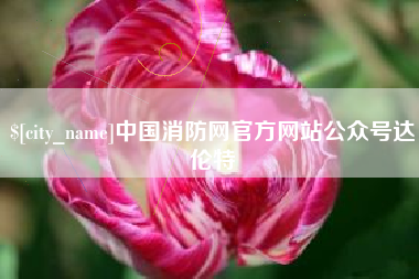 宣城中国消防网官方网站公众号达伦特