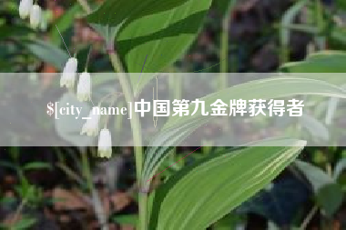 宣城中国第九金牌获得者