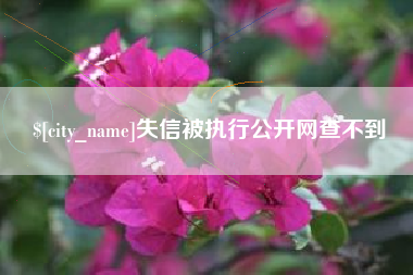 宣城失信被执行公开网查不到