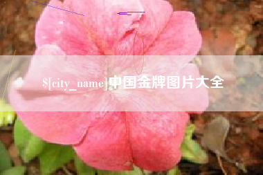 宣城中国金牌图片大全