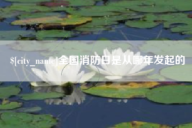 宣城全国消防日是从哪年发起的