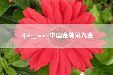 宣城中国金牌第九金