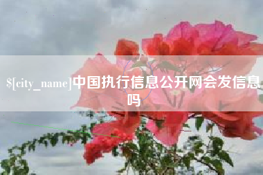 宣城中国执行信息公开网会发信息吗