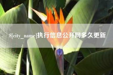 宣城执行信息公开网多久更新