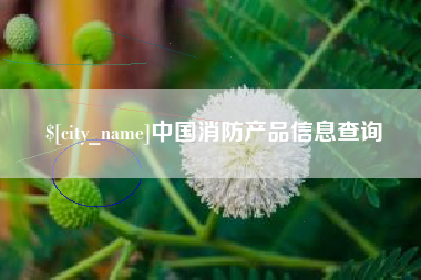 宣城中国消防产品信息查询