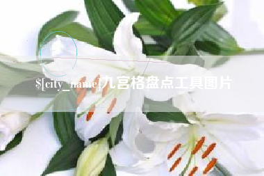 宣城九宫格盘点工具图片