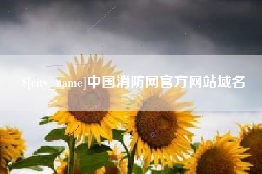 宣城中国消防网官方网站域名