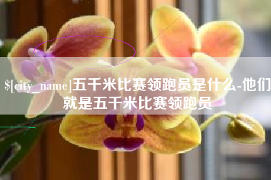 宣城五千米比赛领跑员是什么-他们就是五千米比赛领跑员