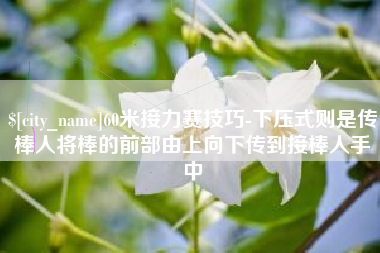 宣城60米接力赛技巧-下压式则是传棒人将棒的前部由上向下传到接棒人手中