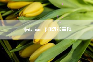 宣城消防张雪梅