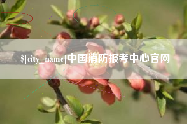 宣城中国消防报考中心官网