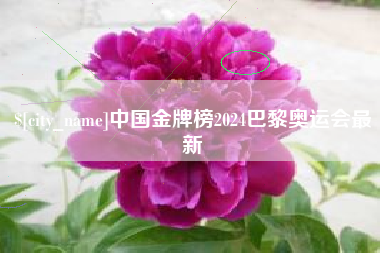 宣城中国金牌榜2024巴黎奥运会最新
