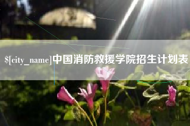 宣城中国消防救援学院招生计划表