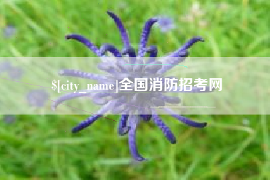 宣城全国消防招考网