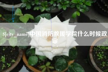 宣城中国消防救援学院什么时候政审