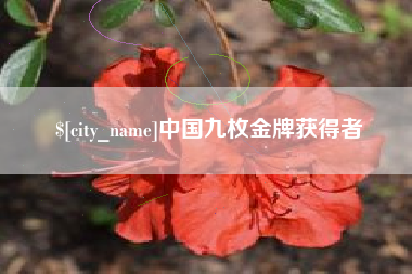 宣城中国九枚金牌获得者