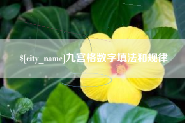 宣城九宫格数字填法和规律