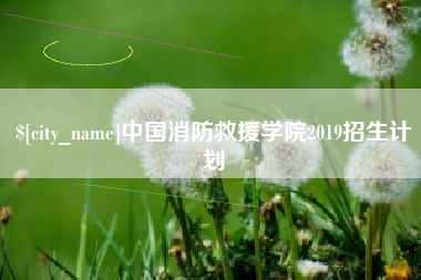 宣城中国消防救援学院2019招生计划