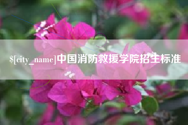 宣城中国消防救援学院招生标准