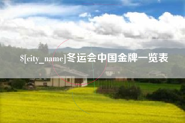宣城冬运会中国金牌一览表