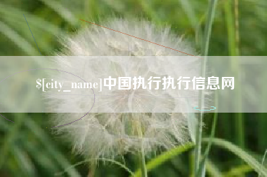 宣城中国执行执行信息网