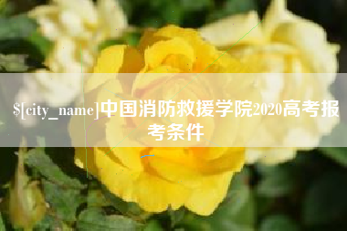 宣城中国消防救援学院2020高考报考条件
