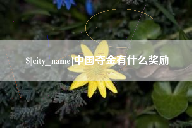 宣城中国夺金有什么奖励