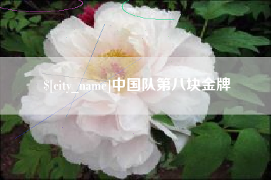 宣城中国队第八块金牌