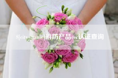 宣城消防产品ccc认证查询