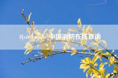 宣城中国消防在线查询