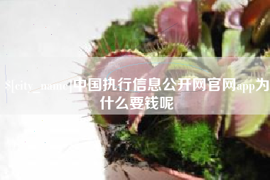宣城中国执行信息公开网官网app为什么要钱呢