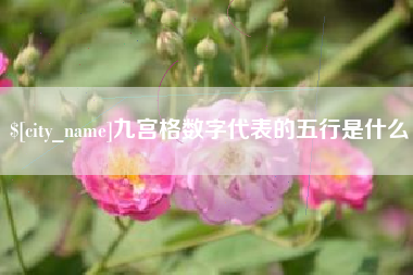 宣城九宫格数字代表的五行是什么