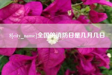 宣城全国的消防日是几月几日