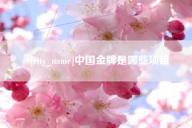 宣城中国金牌是哪些项目