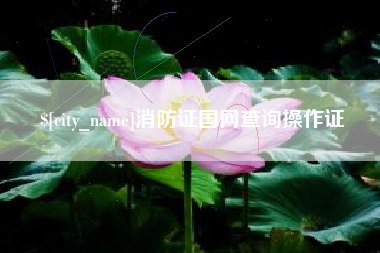 宣城消防证国网查询操作证