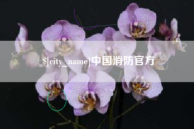 宣城中国消防官方