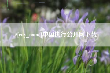 宣城中国执行公开网下载
