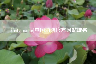 宣城中国消防官方网站域名