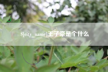 宣城王子豪是个什么