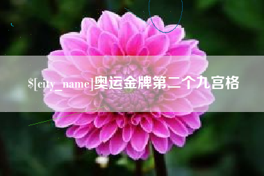 宣城奥运金牌第二个九宫格