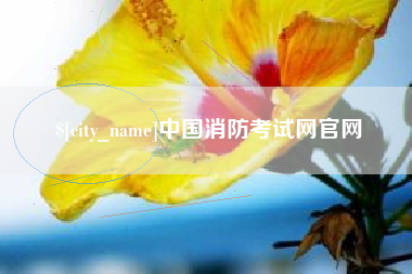宣城中国消防考试网官网