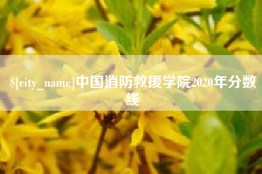 宣城中国消防救援学院2020年分数线